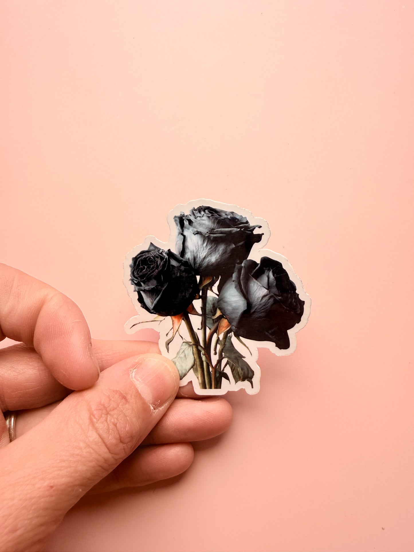 Alchemised Sticker Pack | Bookish Vinyl Stickers for Readers & Fandom Lovers